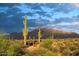 Scenic view of Sonoran Desert landscape, featuring cacti and mountains under a vast sky at 15095 N Thompson Peak Pkwy # 3115, Scottsdale, AZ 85260