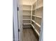 Well-organized pantry with ample shelving for storage at 16035 W Questa Dr, Surprise, AZ 85387