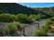 Scenic hiking trail winding through desert landscape at 42035 N 113Th Way, Scottsdale, AZ 85262