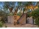 Beautifully lit tree near the entrance gate at night at 8420 N 15Th St, Phoenix, AZ 85020
