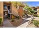 Complex exterior showing walkway, landscaping, and BBQ grills at 6900 E Princess Dr # 1136, Phoenix, AZ 85054