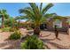 Landscaped backyard with mature palm trees and desert landscaping at 10918 E San Tan Blvd, Sun Lakes, AZ 85248