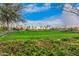 Landscaped green space with palm trees and community area at 10020 E Strobe Ave, Mesa, AZ 85212