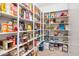 Well-organized pantry with ample shelving for storage at 10020 E Strobe Ave, Mesa, AZ 85212