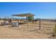 Two horses in a fenced-in pen with a covered shelter at 19999 W Fawny Ln, Casa Grande, AZ 85122