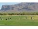 Golf driving range with stunning mountain views at 2744 S First Water Ln, Gold Canyon, AZ 85118