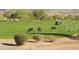 Deer grazing on the golf course with golfers at 2744 S First Water Ln, Gold Canyon, AZ 85118