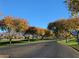 Community entrance lined with colorful trees in autumn at 2744 S First Water Ln, Gold Canyon, AZ 85118