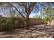 Backyard with gravel, mature trees, and a bird bath at 8183 W Raven Dr, Arizona City, AZ 85123
