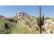 Stunning desert landscape with cacti and rock formations at 10648 E Greythorn Dr, Scottsdale, AZ 85262