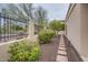 Landscaped side yard with stone pathway and lush plants at 6120 N 31St Ct, Phoenix, AZ 85016