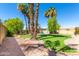 Large backyard with grassy area, playset, and palm trees at 15828 N 10Th Pl, Phoenix, AZ 85022