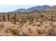 Expansive desert landscape with saguaro cacti and distant mountains at 0 W Pima Rd, Maricopa, AZ 85139