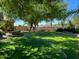 Large backyard with lush green grass, mature trees, and a mountain view at 38507 N 27Th Ave, Phoenix, AZ 85086