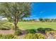 Open green space with mature trees and landscaping at 1867 S Seton Ave, Gilbert, AZ 85295