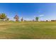 Scenic view of a lush green golf course at 1451 E Palm Beach Dr, Chandler, AZ 85249