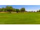 Expansive view of the lush green golf course and mature trees at 1451 E Palm Beach Dr, Chandler, AZ 85249