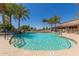 Inviting community pool with palm trees and a waterfall feature at 1451 E Palm Beach Dr, Chandler, AZ 85249