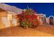 Night view of a patio area with a flowering bush and exterior door at 9645 E Brown Rd, Mesa, AZ 85207