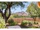 Scenic view of mountain range from backyard, partially obscured by trees and shrubs at 7101 E Berneil Ln, Paradise Valley, AZ 85253