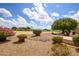 Landscaped backyard with stone accents at 17621 N Eagle Crest Dr, Surprise, AZ 85374