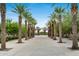 Landscaped community walkway with shade structures at 4145 S Zephyr --, Mesa, AZ 85212