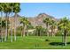 Green park with palm trees and mountain backdrop at 17518 W Desert Sage Dr, Goodyear, AZ 85338