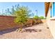 Side yard with gravel, plants and a small tree at 31207 N 124Th Dr, Peoria, AZ 85383