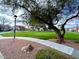 Green community space with mature trees and walkway at 3907 E Ironwood Dr, Phoenix, AZ 85044
