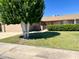 Ranch-style home with a well-manicured lawn and mature trees at 10509 W Tropicana Cir, Sun City, AZ 85351