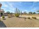 Landscaped backyard with desert plants and golf course view at 18364 N Diamond Dr, Surprise, AZ 85374