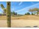 Golf course view with saguaro cactus in foreground at 18364 N Diamond Dr, Surprise, AZ 85374