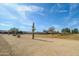 View of the golf course with desert landscape at 18364 N Diamond Dr, Surprise, AZ 85374