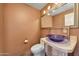 Bathroom with unique purple sink, granite vanity, and tiled floor at 27211 N 111 St, Scottsdale, AZ 85262