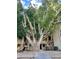 Building exterior showcasing stairs, landscaping, and a large tree at 3119 W Cochise Dr # 225, Phoenix, AZ 85051