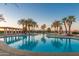 Large resort-style pool with palm trees and sunset view at 42201 W Rummy Rd, Maricopa, AZ 85138