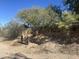 View of property's hillside and natural landscaping at 1140 Jediondia Dr, Wickenburg, AZ 85390