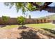 Backyard with grassy area and a block wall at 3702 W Riordan Ranch Rd, Phoenix, AZ 85083