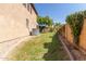 Landscaped backyard with grassy area and privacy wall at 3702 W Riordan Ranch Rd, Phoenix, AZ 85083