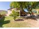 Landscaped backyard with large trees and grassy area at 3702 W Riordan Ranch Rd, Phoenix, AZ 85083