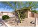 Landscaped front yard with desert landscaping and a large tree at 3702 W Riordan Ranch Rd, Phoenix, AZ 85083