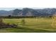 Image shows a grassy soccer field with goal posts in a community setting at 19366 W San Juan Ave, Litchfield Park, AZ 85340