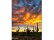 Dramatic sunset over the Sonoran Desert landscape with silhouetted cacti at 19366 W San Juan Ave, Litchfield Park, AZ 85340
