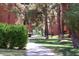 Landscaped walkway through the community with lush greenery at 12212 N Paradise Village S Pkwy # 451, Phoenix, AZ 85032