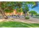 Courtyard with mature trees and desert landscaping at 12212 N Paradise Village S Pkwy # 451, Phoenix, AZ 85032