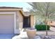 House exterior showcasing the front entrance with a large pot and a mature tree at 3771 E Hazeltine Way, Chandler, AZ 85249