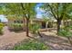 Private backyard oasis with mature trees and a covered patio at 22303 N Montecito Ave, Sun City West, AZ 85375