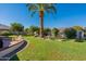 Spacious backyard with mature palm tree and grassy area at 4622 E Flower Ave, Mesa, AZ 85206