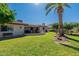 Large backyard featuring a lush lawn and mature palm tree at 4622 E Flower Ave, Mesa, AZ 85206