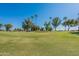 Green golf course with palm trees and blue sky at 4622 E Flower Ave, Mesa, AZ 85206